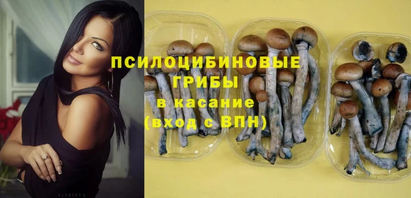 мяу мяу мука Верея