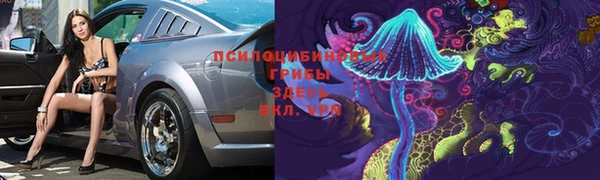 МДПВ Верхний Тагил