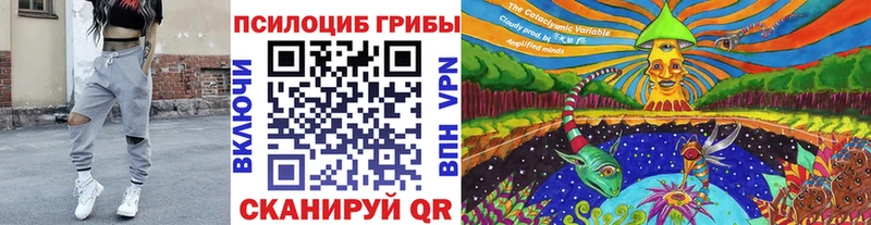 Псилоцибиновые грибы прущие грибы  Волхов 